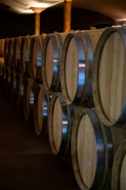 Fransa 'nın güneyinde, Collobrieres, Provence bölgesi yakınlarındaki Cotes de Provence' de şarap mahzeninde şarap fıçıları bulunan mağara, Fransa 'da kırmızı ve gül şarabı üretimi