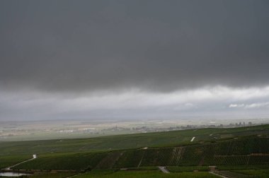 Epernay yakınlarında yeşil büyük cru üzüm bağları olan manzara, Fransa 'nın Champagne bölgesi, sonbahar yağmurlu günlerinde. Cote des Blanc 'ın kireçli topraklarında beyaz şarap üzümü yetiştiriyorum..