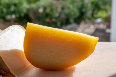 Peynir koleksiyonu, küçük delikli Fransız fol epi peyniri, etorki, tomme noire des pyrenees ve ossau iraty peynirleri