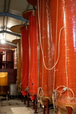 Burgundy 'deki büyük pleksiglas tanklarda beyaz şarap yapımı Chardonnay üzümünden, Fransız şarap üretimi