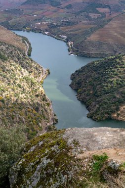 Douro nehir vadisinde panoramik manzara ve renkli tepe merdivenleri sonbaharda üzüm bağları, Portekiz 'de şarap ve liman üretim endüstrisi terasları