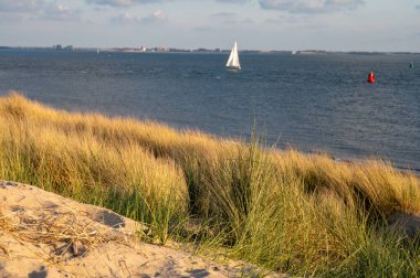 Beyaz kumlu sahildeki panoramik manzara, Kuzey Denizi 'nin Vlissingen en Domburg, Zeeland, Hollanda arasındaki kum tepeleri ve suyu