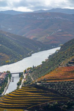 Douro nehir vadisinde panoramik manzara ve renkli tepe merdivenleri sonbaharda üzüm bağları, Portekiz 'de şarap ve liman üretim endüstrisi terasları