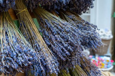 Fransa, Provence 'deki dükkanda satılık aromalı lavanta ya da lavanta çiçekleri
