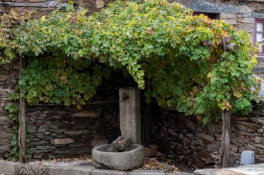 Sonbaharda Douro Nehri Vadisi 'nin göbeğindeki eski köy Provesende' nin manzarası, Portekiz 'de şarap üretimi endüstrisi