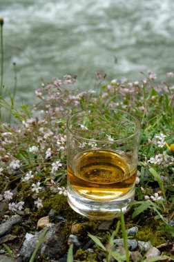 Glass of strong scotch single malt whisky with fast flowing mountain river and wild flowers on background, Scotland clipart
