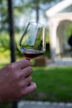 Pahalı kırmızı şarap tatma Pinot noir üzümleri, şarap turizmi Burgundy Cote de Nuits şarap bölgesine, Fransa