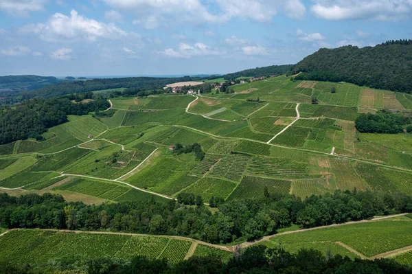 Panoramautsikt Över Gröna Kuperade Vingårdar Nära Vinbyn Chateau Chalon Regionen — Stockfoto