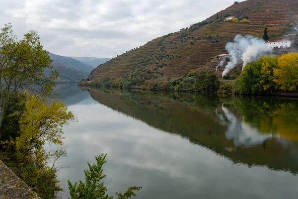 Pohled Řeku Douro Odrazem Vodě Barevného Kopcovitého Schodiště Krok Terasovité — Stock fotografie
