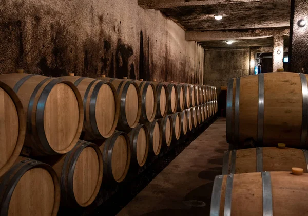 Jarenlang Droge Rode Wijn Bewaren Nieuwe Eiken Vaten Grotten Bourgogne — Stockfoto