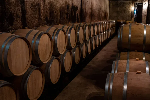 ブルゴーニュの洞窟の新しいオーク樽で乾燥した赤ワインの年の維持 ノワールのブドウから作られた 高価なフランスのワイン生産 — ストック写真