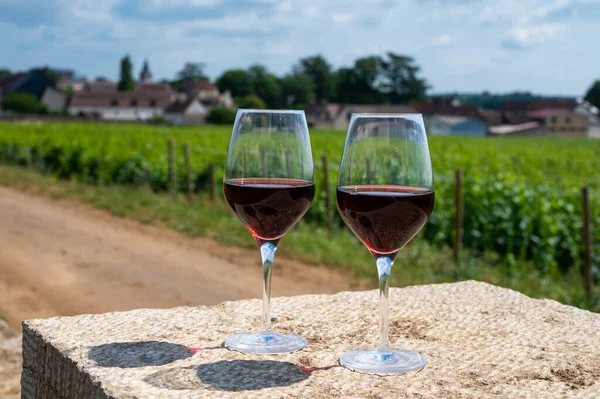 Tasting of burgundy red wine from grand cru pinot noir  vineyards, two glasses of wine and view on green vineyards in Burgundy Cote de Nuits wine region, France in summer