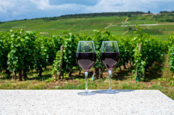 Дегустация бордового красного вина из виноградников Grand Cru pinot noir, два бокала вина и вид на зеленые виноградники в винодельческом регионе Бургундия-Кот-де-Нуитс, Франция летом
