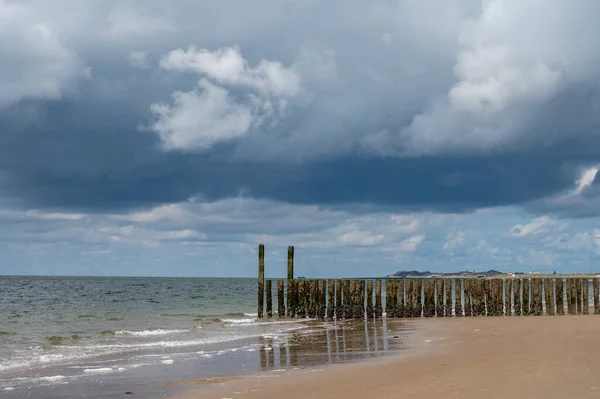 Walking White Sandy North Sea Beach Zoutelande Zeeland Netherlands Low — Stock Photo, Image