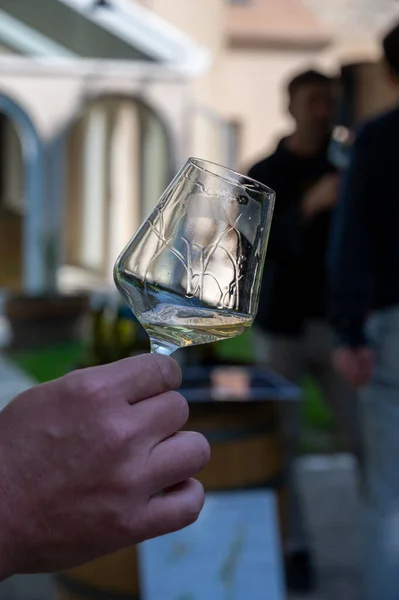 Degustacja Drogiego Wytrawnego Burgundowego Białego Wina Winogron Chardonnay Turystyka Winna — Zdjęcie stockowe