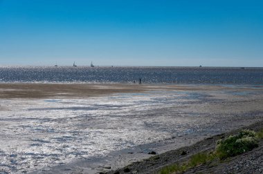 Hollanda, Friesland, Wadden Denizi 'ndeki Harlingen balıkçı kasabasının sahilinde yürüyorum.