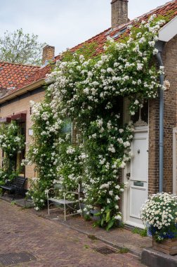 Eski Hollanda kasabası Zierikzee 'de eski küçük evleri ve sokakları olan Zeeland, Hollanda