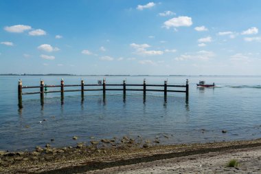 Yerseke yakınlarındaki Oesterschelde sahilleri ve kıyı şeridi boyunca yürüyen Zeeland, Hollanda