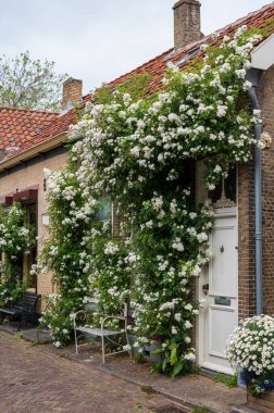 Eski Hollanda kasabası Zierikzee 'de eski küçük evleri ve sokakları olan Zeeland, Hollanda