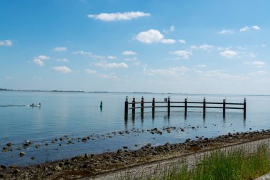 Yerseke yakınlarındaki Oesterschelde sahilleri ve kıyı şeridi boyunca yürüyen Zeeland, Hollanda