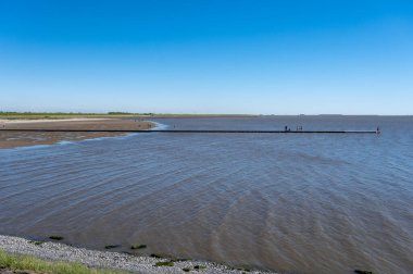 Hollanda, Friesland, Wadden Denizi 'ndeki Harlingen balıkçı kasabasının sahilinde yürüyorum.