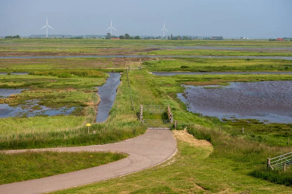 Aerial View Green Nature Landscape Province Zeeland Netherlands — Stock Photo, Image