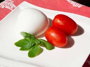 Peynir koleksiyonu, taze İtalyan yumuşak peyniri mozzarella di bufala campana taze fesleğen ve domatesle servis edilir.