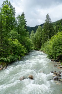 Bon Nant dağ nehri, yeşil ormanlar ve Saint-Gervais-les-Bains, Savoy yakınlarındaki uygun çayırlar. Yazın Fransa