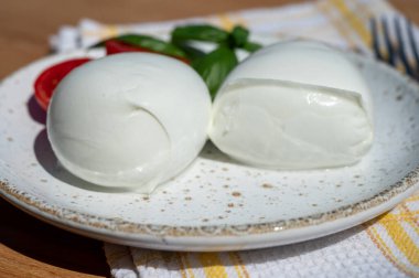 Peynir koleksiyonu, beyaz İtalyan yumuşak peynirli mozzarella topları taze kırmızı domates ve yeşil fesleğenle servis ediliyor.