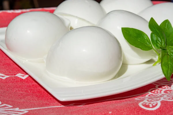 Coleção Queijos Bolas Brancas Queijo Macio Italiano Fresco Mozzarella Bufala — Fotografia de Stock