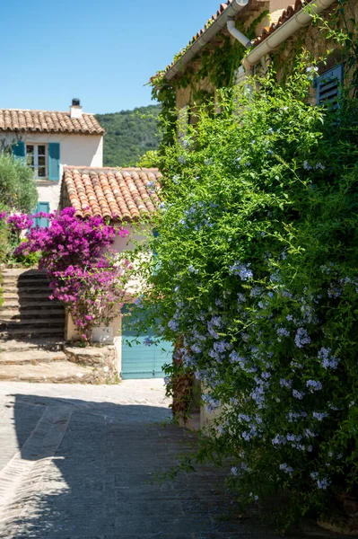 Colorful Blossom Summer Flowers Ancient French Village Grimaud Tourists Destination — Stock Photo, Image