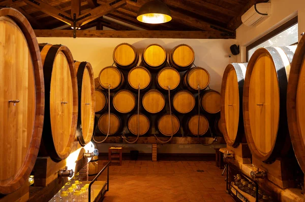 バラと赤ドライとイタリアのワインセラーで販売のための大小の樽で甘いワイン — ストック写真