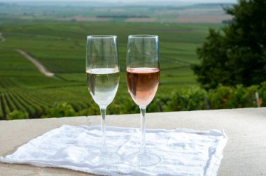 Verzenay yakınlarındaki Montagne de Reims 'in yeşil Grand Cru üzüm bağlarına şarap ve gül rengi şarap ve manzara.