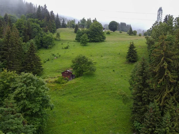 Panoramiczny Widok Zielone Alpejskie Lasy Świerkowe Sosnowe Oraz Łąki Pobliżu — Zdjęcie stockowe