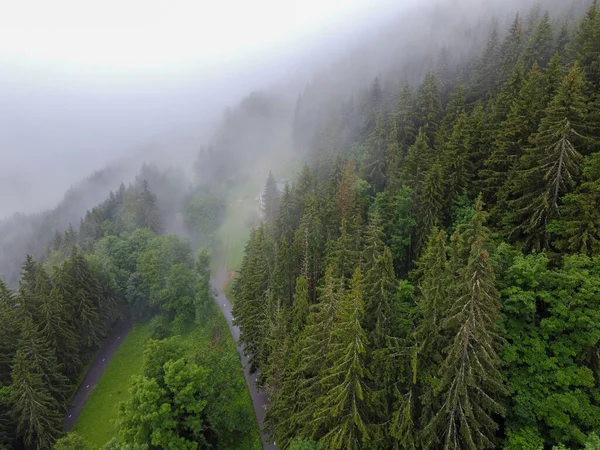 Panoramiczny Widok Zielone Alpejskie Lasy Świerkowe Sosnowe Oraz Łąki Pobliżu — Zdjęcie stockowe