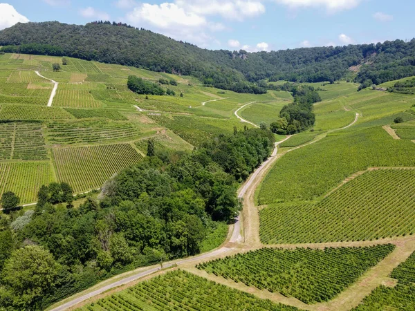 Panoramiczny Widok Zielone Pagórkowate Winnice Pobliżu Miejscowości Winiarskiej Chateau Chalon — Zdjęcie stockowe