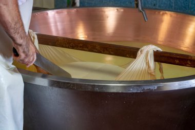 Parma, Reggio-Emilia, İtalya 'daki küçük bir peynir çiftliğinde parmesanlı parmesan peynirinin inek sütlü tekerleklerinden yapılan geleneksel bir işlem.