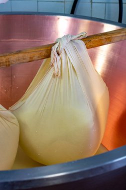 Parma, Reggio-Emilia, İtalya 'daki küçük bir peynir çiftliğinde parmesanlı parmesan peynirinin inek sütlü tekerleklerinden yapılan geleneksel bir işlem.