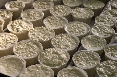 İtalya 'nın Parma kentindeki küçük peynir çiftliğinde sabahın erken saatlerinde taze, yumuşak ricotta peyniri yapma süreci.