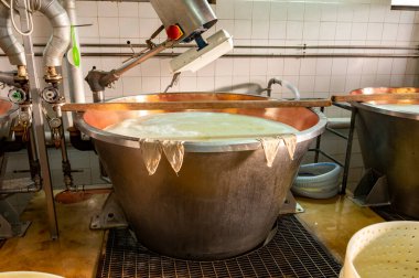 Parma, Reggio-Emilia, İtalya 'daki küçük peynir tarlasında parmegiano-reggiano parmesan peyniri yapmak için geleneksel bir yöntem.