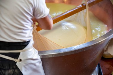 Parma, Reggio-Emilia, İtalya 'daki küçük peynir çiftliğinde parmesanlı parmesan peynirin inek sütünden yapılmış geleneksel bir işlem.