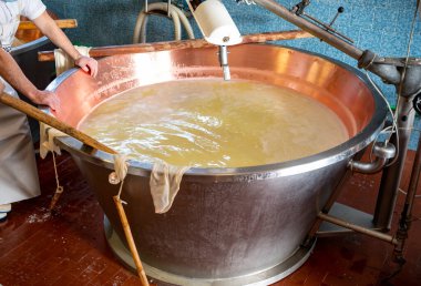 Parma, Reggio-Emilia, İtalya 'daki küçük bir peynir çiftliğinde parmesanlı parmesan peynirinin inek sütlü tekerleklerinden yapılan geleneksel bir işlem.