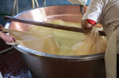 Parma, Reggio-Emilia, İtalya 'daki küçük bir peynir çiftliğinde parmesanlı parmesan peynirinin inek sütlü tekerleklerinden yapılan geleneksel bir işlem.
