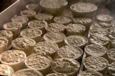 İtalya 'nın Parma kentindeki küçük peynir çiftliğinde sabahın erken saatlerinde taze, yumuşak ricotta peyniri yapma süreci.