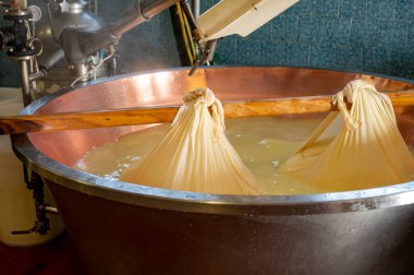 Parma, Reggio-Emilia, İtalya 'daki küçük bir peynir çiftliğinde parmesanlı parmesan peynirinin inek sütlü tekerleklerinden yapılan geleneksel bir işlem.