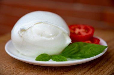 Beyaz İtalyan yumuşak peyniri Mozzarella di Bufala Campana topu taze yeşil fesleğen ve kırmızı domates ile servis edilir.