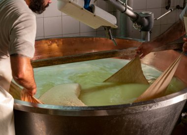 Parma, Reggio-Emilia, İtalya 'daki küçük peynir çiftliğinde parmesanlı parmesan peynirin inek sütü tekerleklerinden yapılan geleneksel işlem.