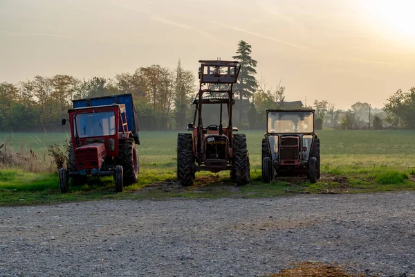 Staré Vinobraní Traktory Časných Ranních Slunečních Paprscích Sýrové Farmě Severní — Stock fotografie