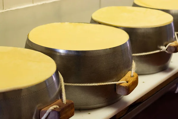 パルマ イタリアの小さなチーズ農場でパルミジャーノ レッジャーノ パルメザン ハードチーズを作るプロセス 塩室でチーズホイールとステンレス製のバックル — ストック写真