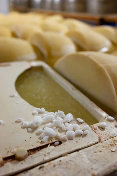 Proces Wytwarzania Parmigiano Reggiano Parmezanu Twardego Sera Małej Farmie Serów — Zdjęcie stockowe